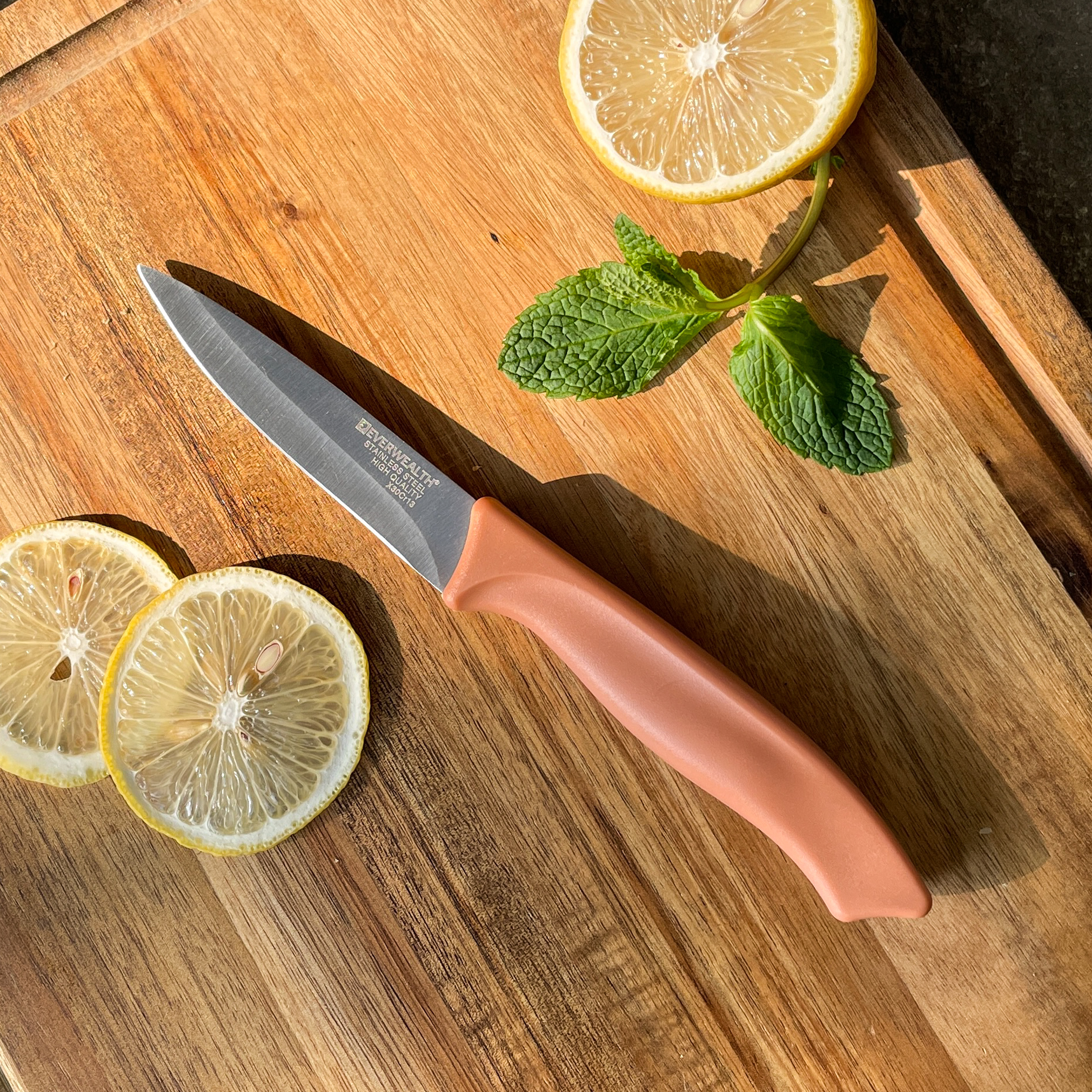 Entry-Level Stainless Steel Kitchen Knife Set Dishwasher-Safe With Plastic Sheath- P016