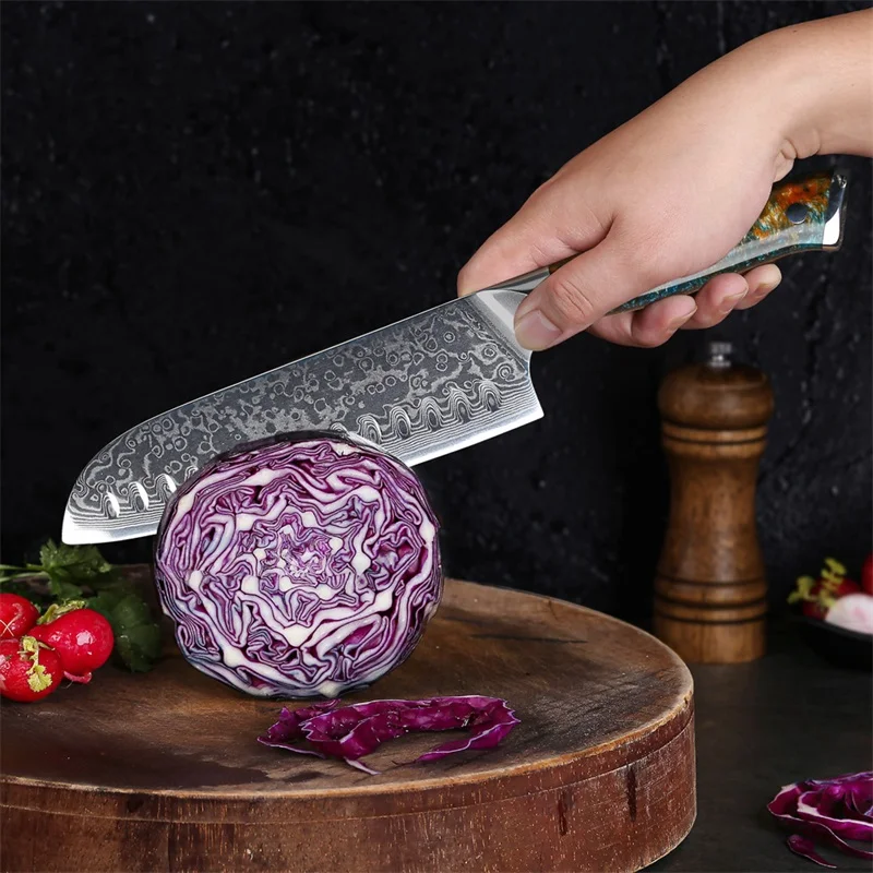 67-layer Damascus Steel Chef Knife with Resin Handle