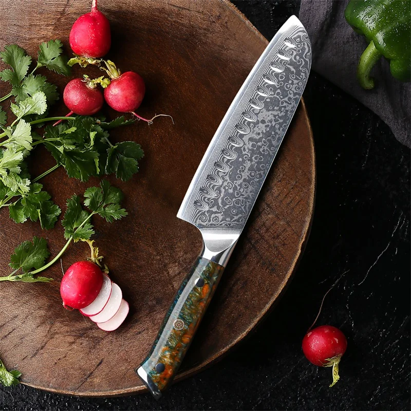 67-layer Damascus Steel Chef Knife with Resin Handle